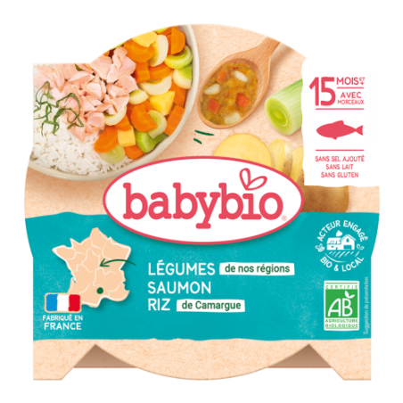 Mengelmoes van groenten, zalm en rijst met zuring