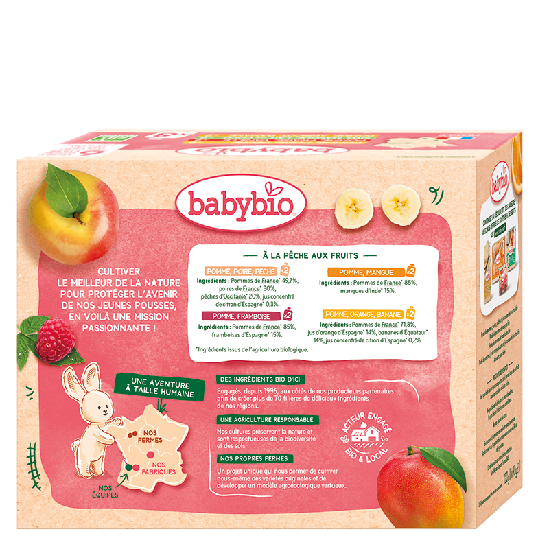 Multipack Fruits Pouch