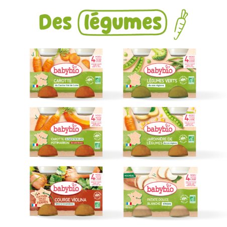 Pak 1 week biologische groenten | Assortiment N°2 | Babybio