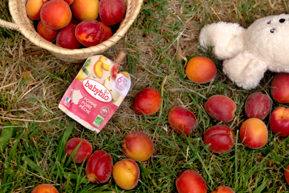 GOURDES FRUITS