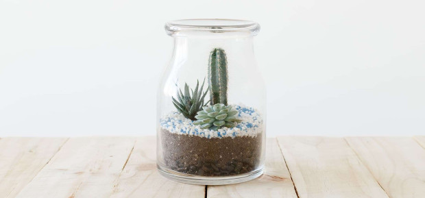 Recycle your glass jars