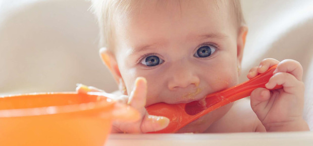 A typical menu for your baby from 6 to 8 months
