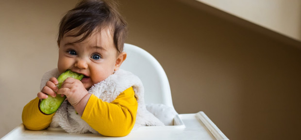 10 recettes végétariennes pour bébé